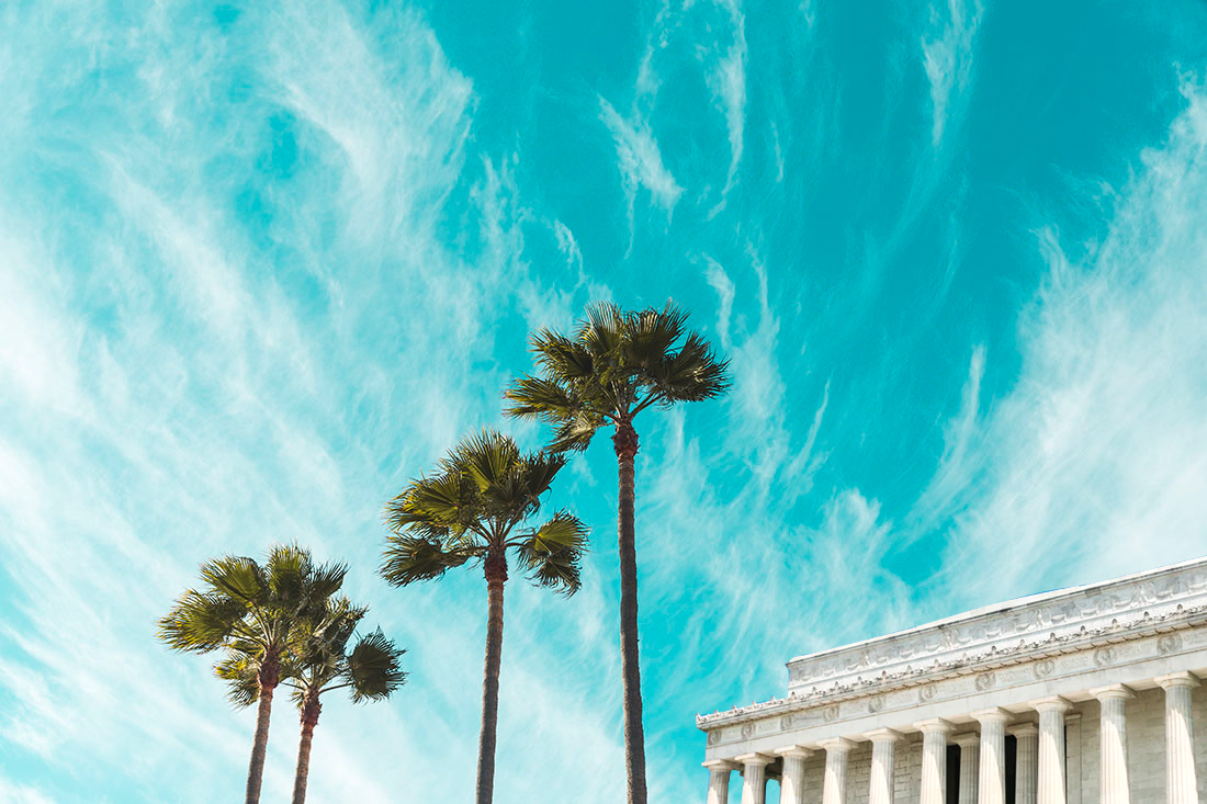 About Exotic Blooms Delivery Dc Weed Delivery Va Cannabis Dispensary