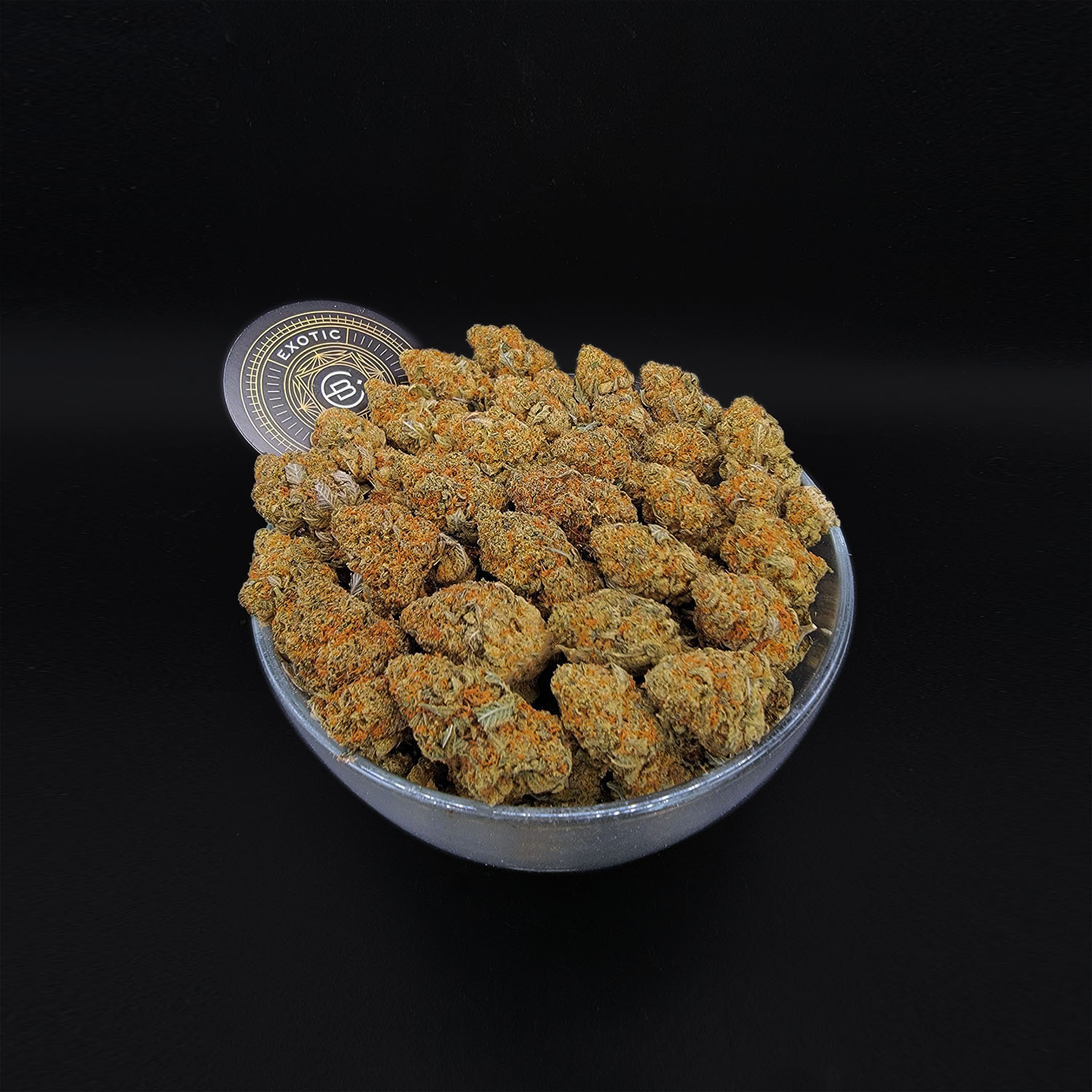 Snowcaps Exclusive Designer **BACKORDER** Exotic Blooms Delivery