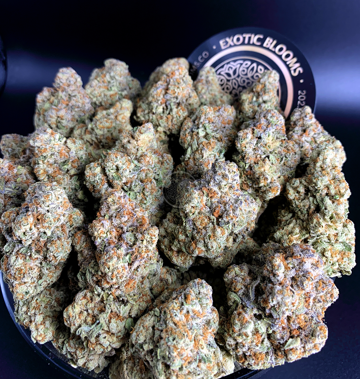 Toker's Guide Gets Up Close & Personal Pearl Jam Cannabis Strain Exotic Blooms Delivery DC